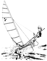 cartoon of Sprint 15 catamaran
